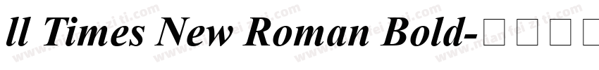 ll Times New Roman Bold字体转换